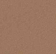 Линолеум Bulletin Board 2166 nutmeg spice фото 1 | FLOORDEALER